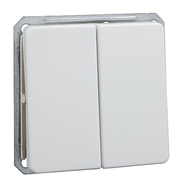 Elso Doppelwechselschalter rw mit Wippe 211664 günstig online kaufen