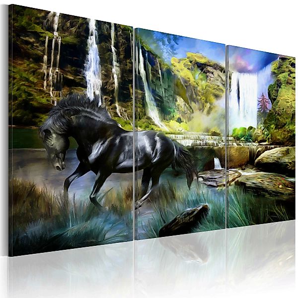 Wandbild - Pferd vor dem Hintergrund eines Wasserfalls günstig online kaufen