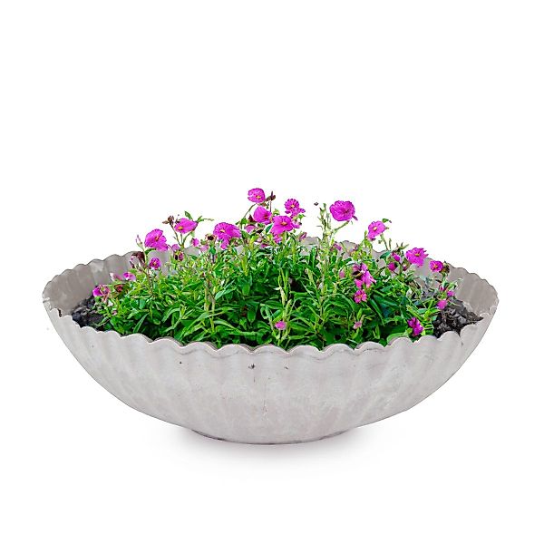 matches21 HOME & HOBBY Blumentopf Dekoschale günstig online kaufen
