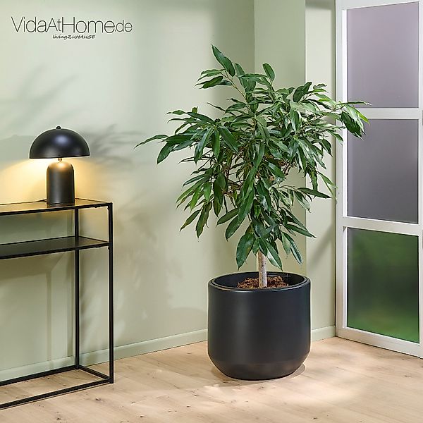 VidaAtHome.de Blumentopf Pflanzgefäß HERA ø 47er, günstig online kaufen