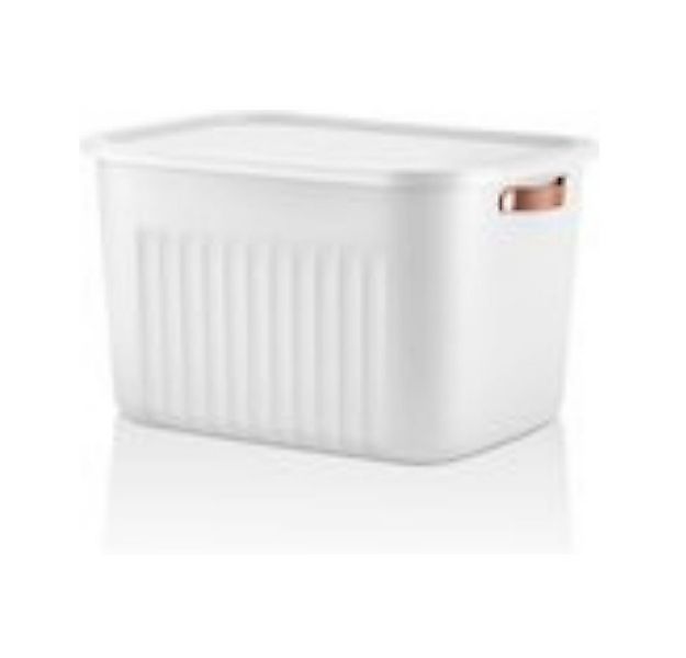 Luxury Bites Aufbewahrungsbox mit Deckel, 20L-15L -10L BPA-freie Kunststoff günstig online kaufen