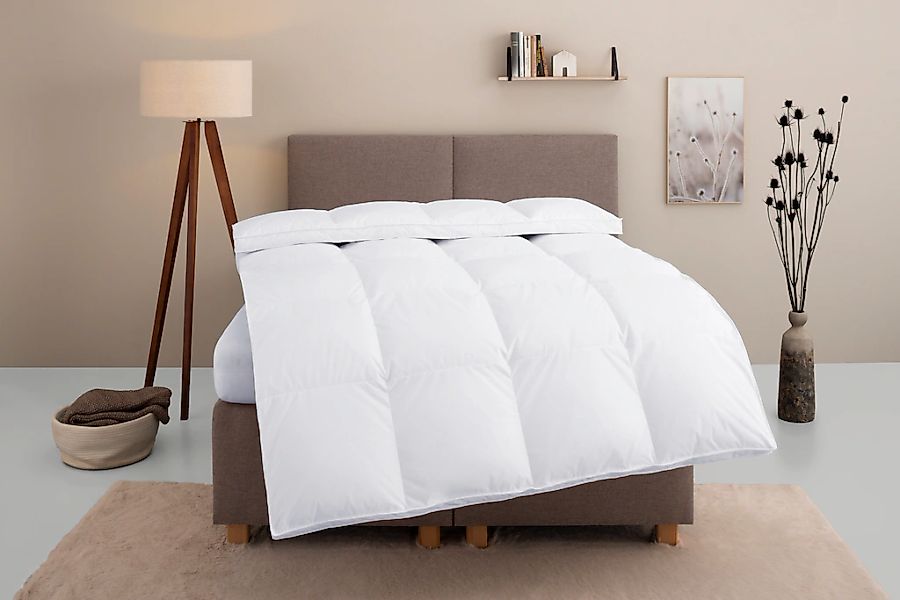 OTTO home Daunenbettdecke "Marseilles Bettdecke 135x200 cm und 155x220 cm" günstig online kaufen