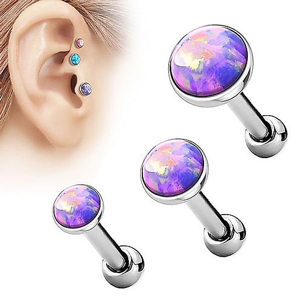 Taffstyle Piercing-Set Tragus Stecker mit flachen günstig online kaufen