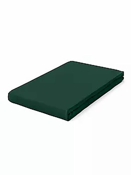 Schlafgut Spannbettlaken »PURE Bio-Baumwolle mit Elasthan, dehnbar blickdic günstig online kaufen