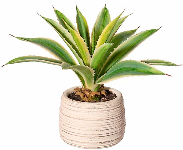 Creativ green Künstliche Zimmerpflanze "Agave im Zementtopf" günstig online kaufen