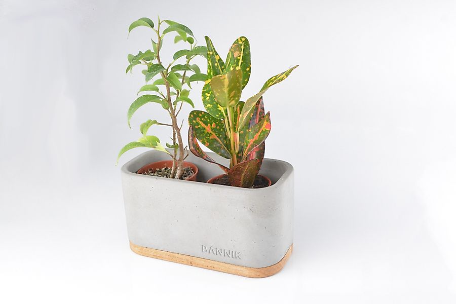 Bannik Blumentopf aus Beton - Unikat günstig online kaufen