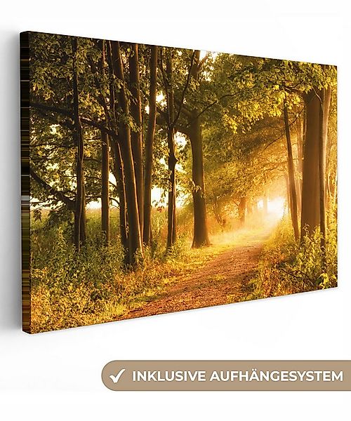 OneMillionCanvasses® Leinwandbild Wald - Bäume - Sonnenlicht - Herbst - Weg günstig online kaufen