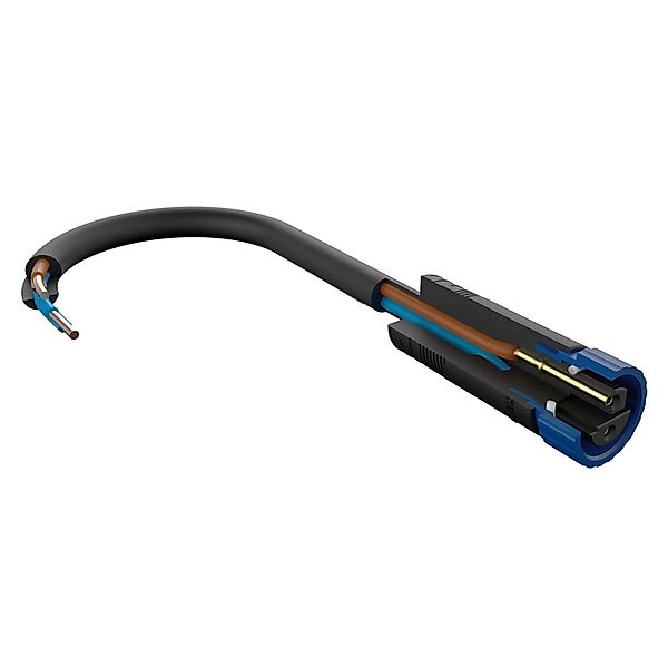 Paulmann LED-Leuchtmittel Paulmann Plug & Shine günstig online kaufen