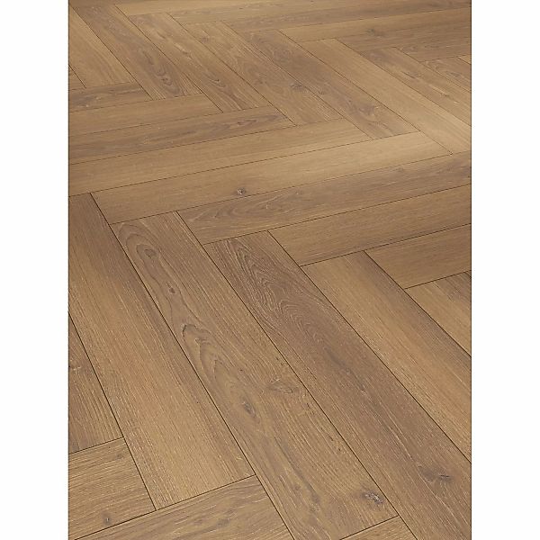 Parador Trendtime 3 Laminat 8 mm Eiche Studioline Fischgrät Honig günstig online kaufen