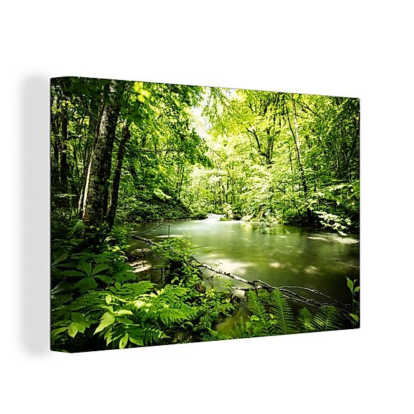 OneMillionCanvasses® Leinwandbild Wald - Baum - günstig online kaufen