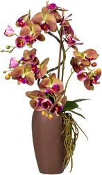 Kunstorchidee Phalaenopsisarrangement in Keramikvase Orchidee Phalaenopsis, günstig online kaufen