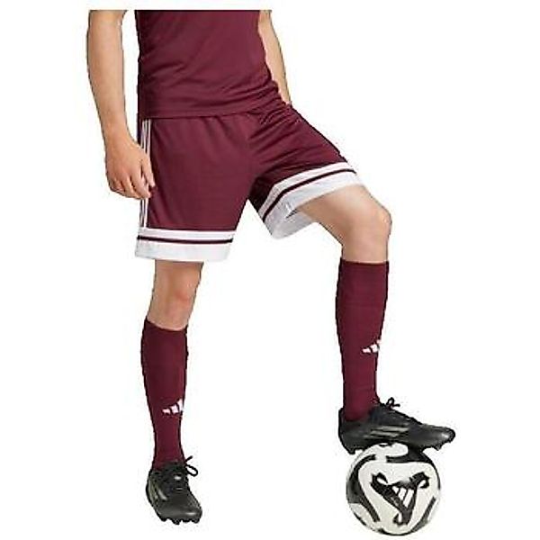 adidas  Shorts Short  Squadra 25 Bordeaux günstig online kaufen