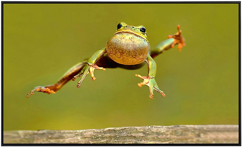 Papermoon Infrarotheizung »Springender Frosch«, sehr angenehme Strahlungswä günstig online kaufen