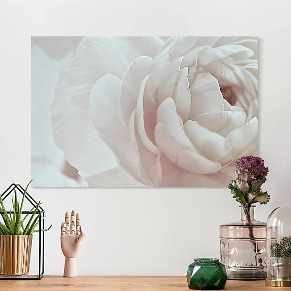 Leinwandbild Weiße Blüte im Blütenmeer günstig online kaufen