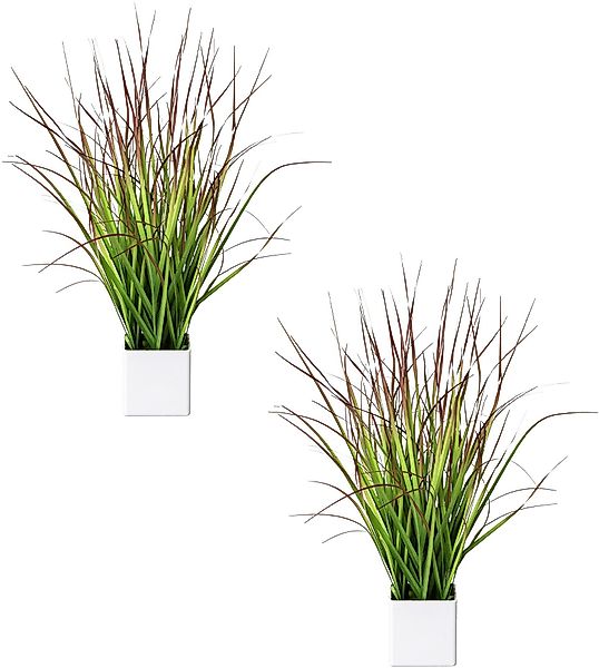 Kunstgras Blutgras, Creativ green, Höhe 46 günstig online kaufen