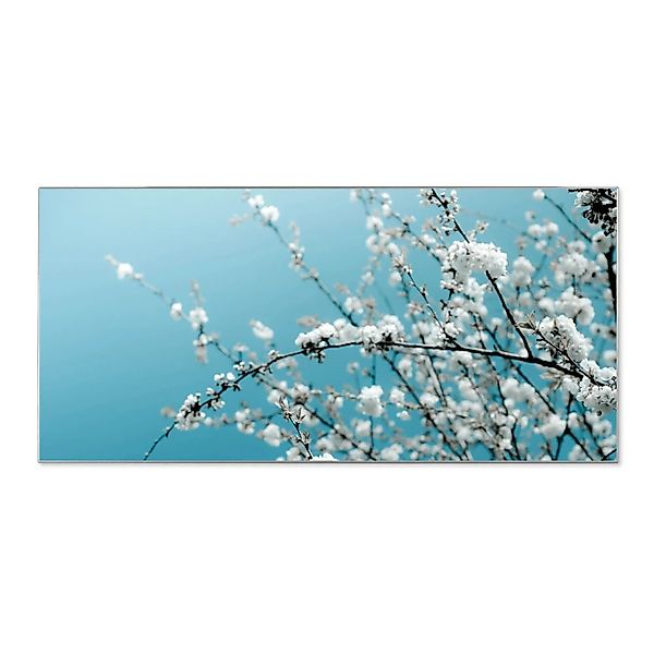 Banjado Magnettafel 78x37cm Magnetwand  Silber Aus Metall Magnetpinnwand Pi günstig online kaufen