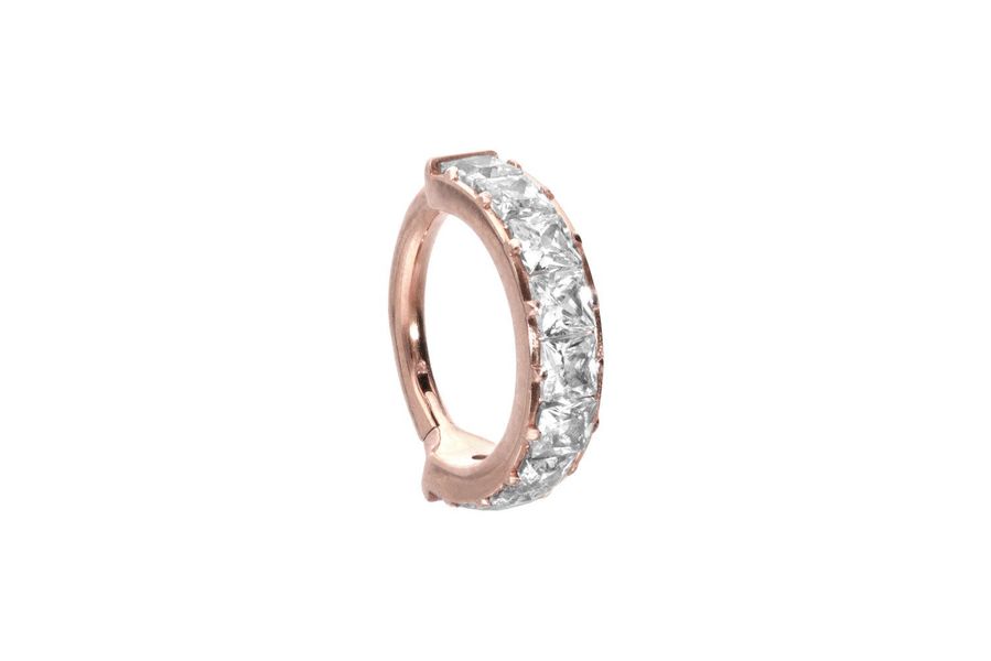 PIERCINGLINE Nasenpiercing Titan Segmentring Clicker EINGEFASSTE günstig online kaufen