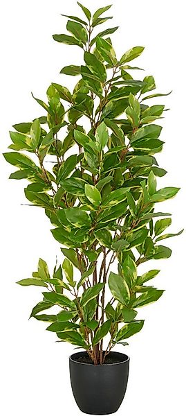 Kunstpflanze Epipremnum aureum, Creativ green, Höhe 90 cm, mit schönem Blat günstig online kaufen