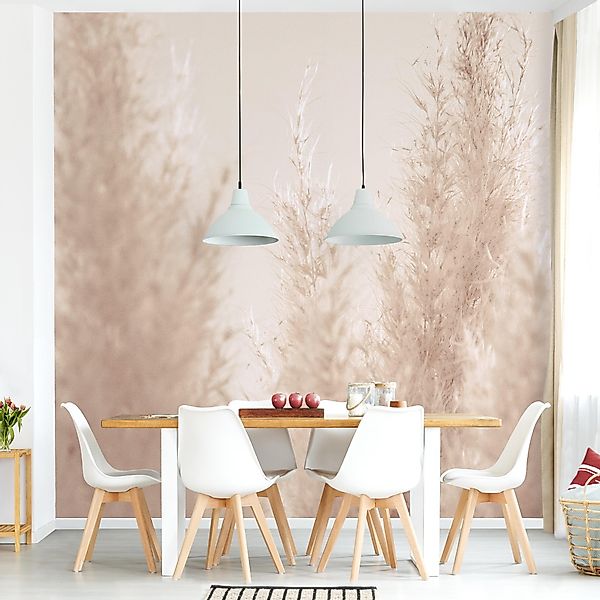 Bilderdepot24 Fototapete Blumen Pampasgras Blumentapete Floral günstig online kaufen