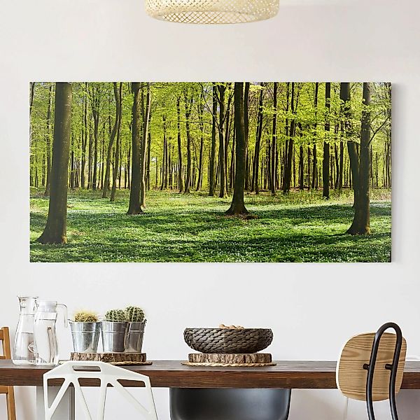 Leinwandbild Wald - Querformat Waldwiese günstig online kaufen