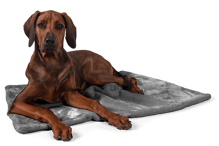 TrendPet Tierdecke Coco, Welpen-Kuscheldecke, Grau, 100% günstig online kaufen