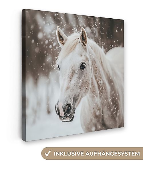 OneMillionCanvasses® Leinwandbild Pferd - Weiß - günstig online kaufen
