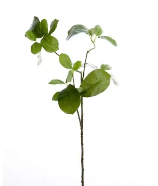 Kunstblume Blätterzweig grün 65 cm günstig online kaufen