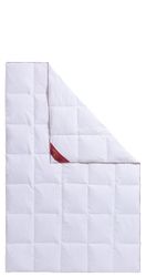 Hanse by RIBECO Daunenbettdecke "Jule" leicht Füllung 90Daunen10Federn 1 St günstig online kaufen