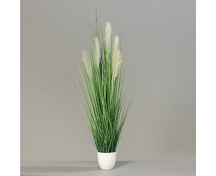 Kunstgras Pampasgras im weißen Dekotopf DP Kunstpflanzen Kunstgras künstlic günstig online kaufen
