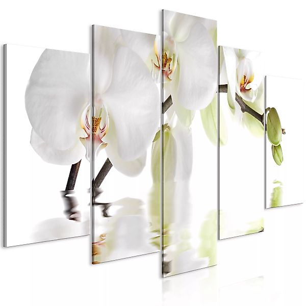 Wandbild - Wonderful Orchid (5 Parts) Wide günstig online kaufen