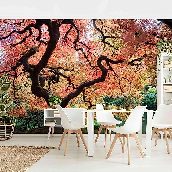Bilderwelten Fototapete Wald Japanischer Garten rot Gr. 384 x 255 günstig online kaufen