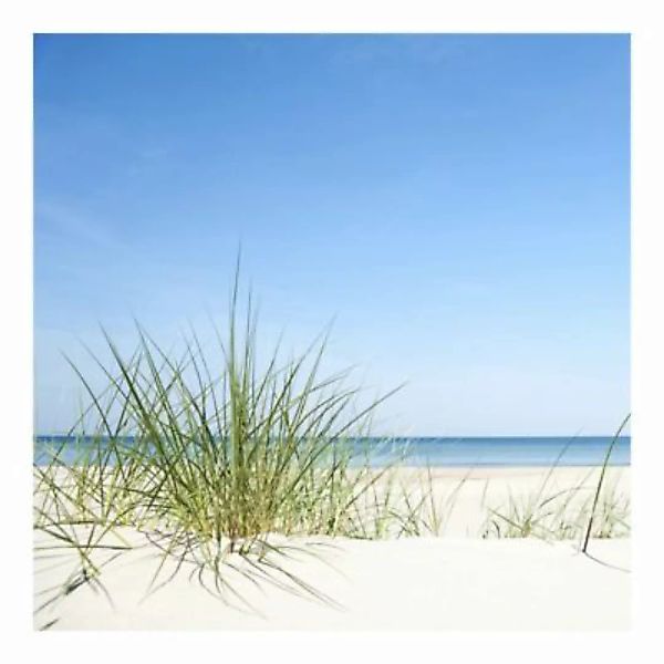 Bilderwelten Fototapete Strand Ostseeküste blau Gr. 288 x 288 günstig online kaufen