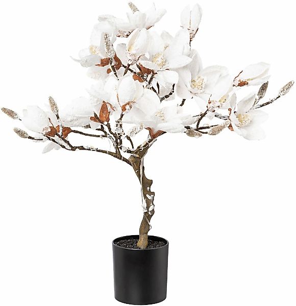 Creativ deco Kunstpflanze "Magnolie" beschneit, mit 20 LEDs günstig online kaufen