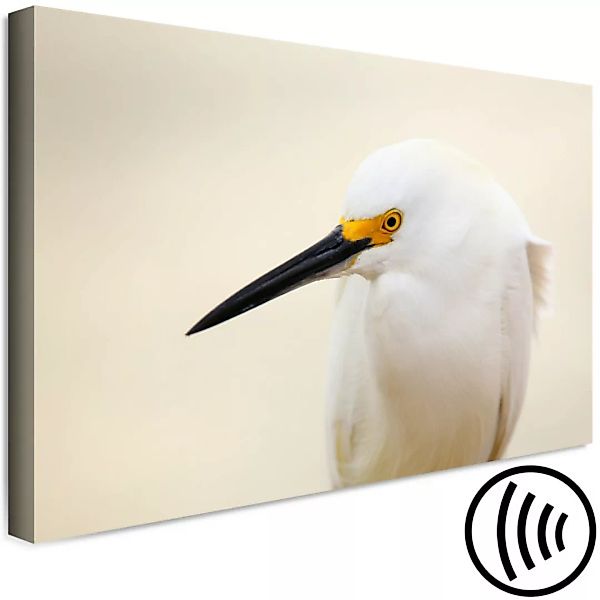 Wandbild Snowy Egret (1 Part) Wide XXL günstig online kaufen