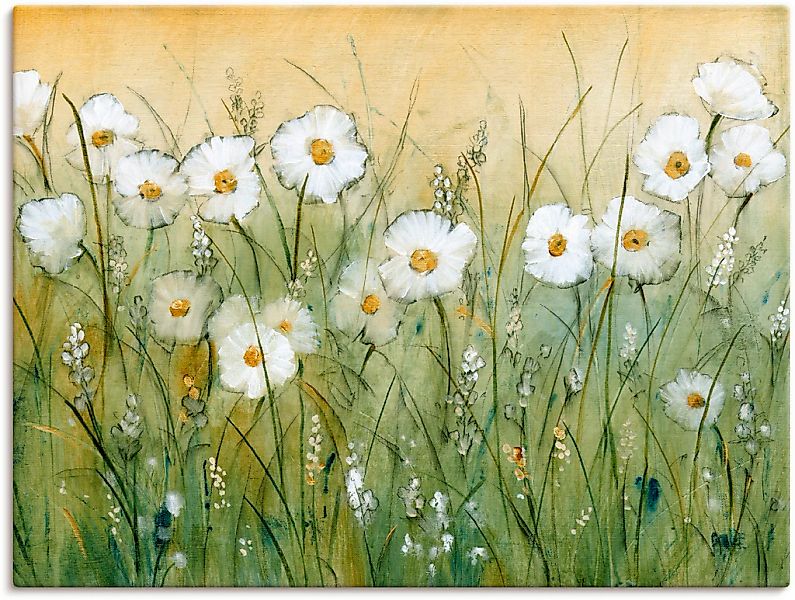 Artland "Gänseblümchenfrühling II" Blumen 1 Stk. tlg. als Alubild, Leinwand günstig online kaufen