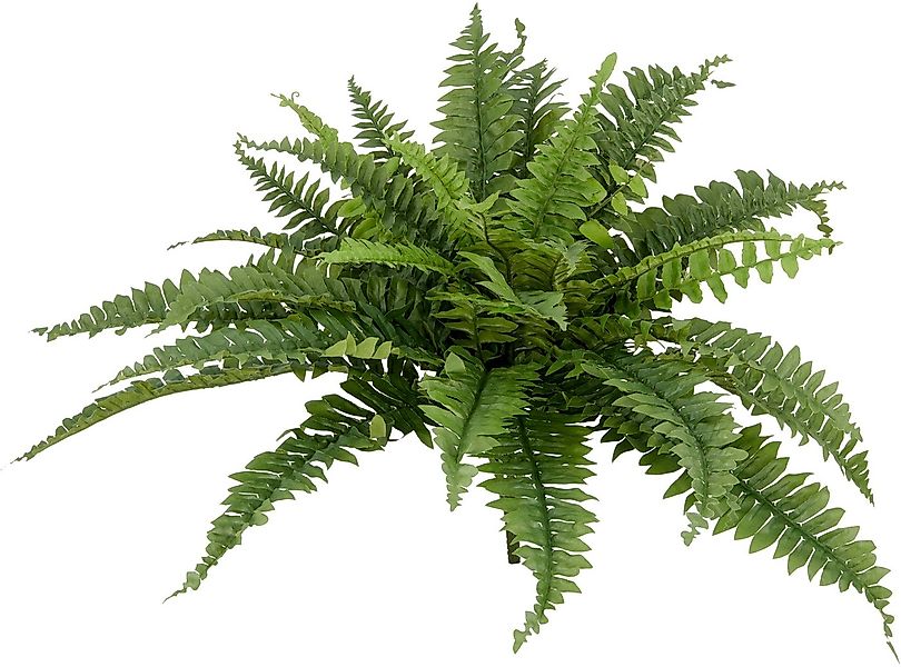 Kunstpflanze Bostonfarn ohne Topf, Creativ green, Höhe 60 cm, mit zahlreich günstig online kaufen