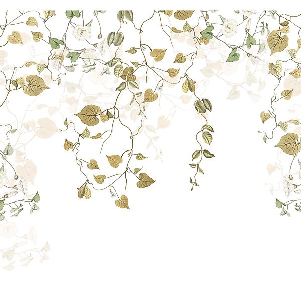 Komar Fototapete Vlies Hedera  300 x 280 cm günstig online kaufen