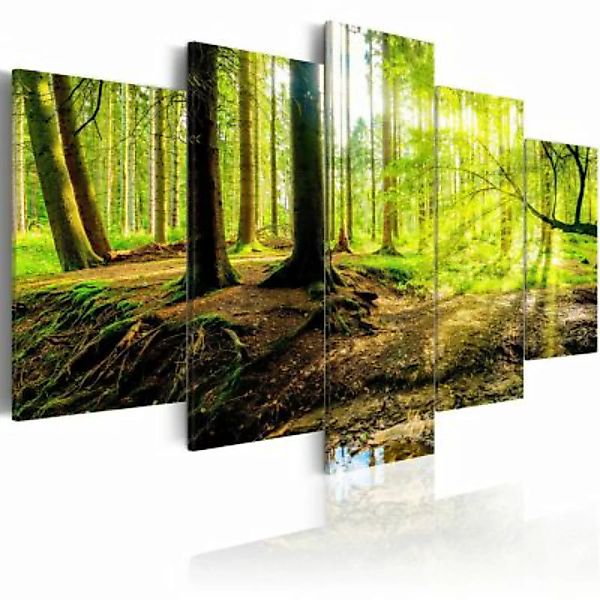 artgeist Wandbild Poetry of a Forest mehrfarbig Gr. 200 x 100 günstig online kaufen