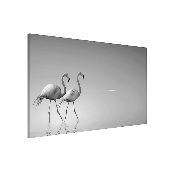 Magnettafel Flamingo Love Schwarz-Weiß günstig online kaufen