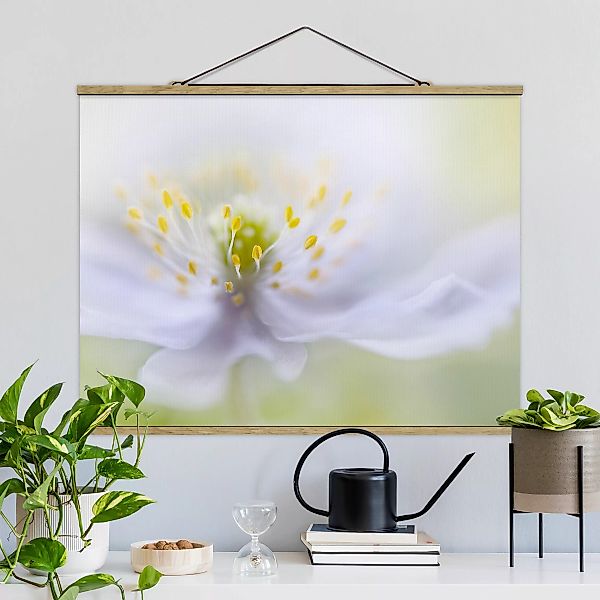 Stoffbild Blumen mit Posterleisten - Querformat Anemonen Schönheit günstig online kaufen