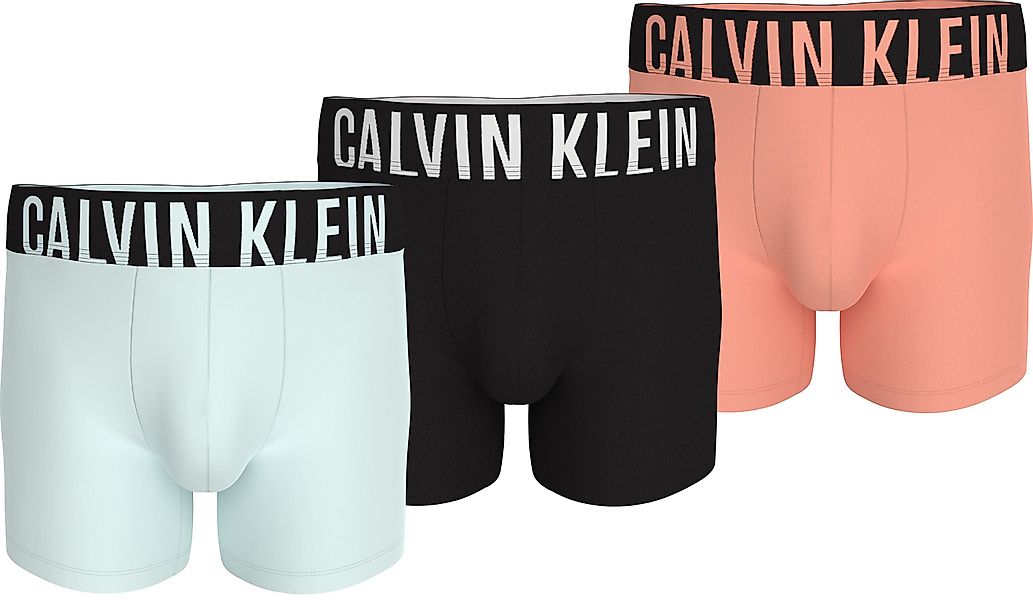 Calvin Klein Underwear Boxer BOXER BRIEF günstig online kaufen