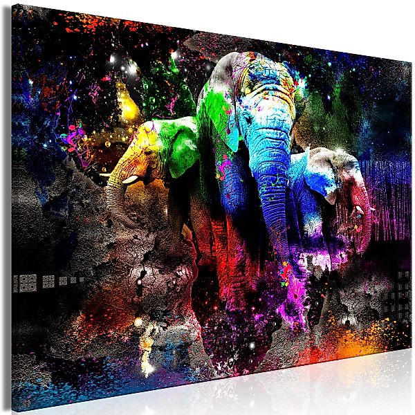 Wandbild - Colorful Elephants (1 Part) Wide günstig online kaufen