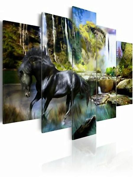 artgeist Wandbild Schwares Pferd vor paradisischem Wasserfall mehrfarbig Gr günstig online kaufen