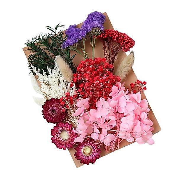 Trockenblume Getrocknete Blumen, Trockenblumen Zum Basteln klein Trockenblu günstig online kaufen