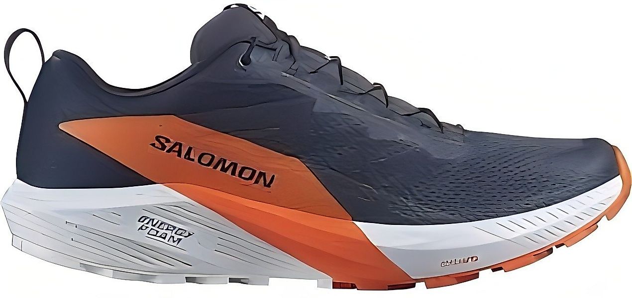 Salomon Sense Ride 5 GTX für Herren Laufschuh günstig online kaufen