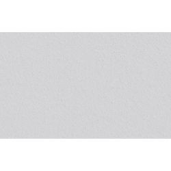 ERFURT Papiertapete Rauhfaser SPRINT, 20 m günstig online kaufen