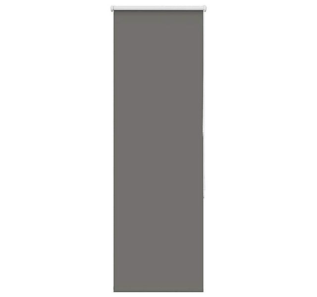 Rollo Verdunkelungsrollo Grau 60x150 cm Stoffbreite 55,7 cm Polyester, vida günstig online kaufen