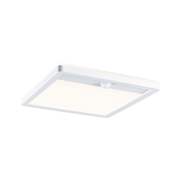 Paulmann LED Außen-Wandleuchte »Außenpanel Lamina 250x47mm 3000K 14,5W 950l günstig online kaufen