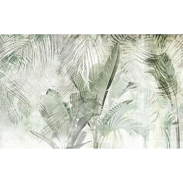 Komar Vliestapete »Digitaldruck Vlies - Botanical Boho - Größe 400 x 250 cm günstig online kaufen