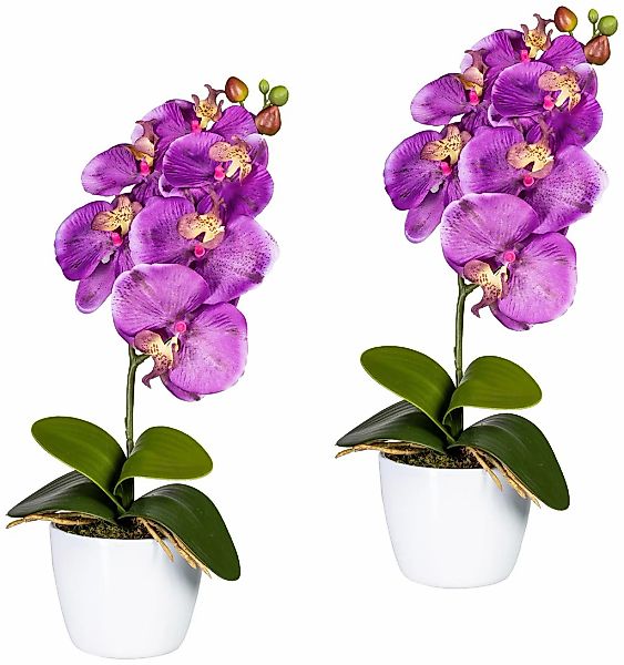 Creativ green Kunstpflanze "Orchidee Phalaenopsis", im Keramiktopf günstig online kaufen